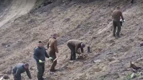 Залесяват опожарената през лятото Малашевска планина